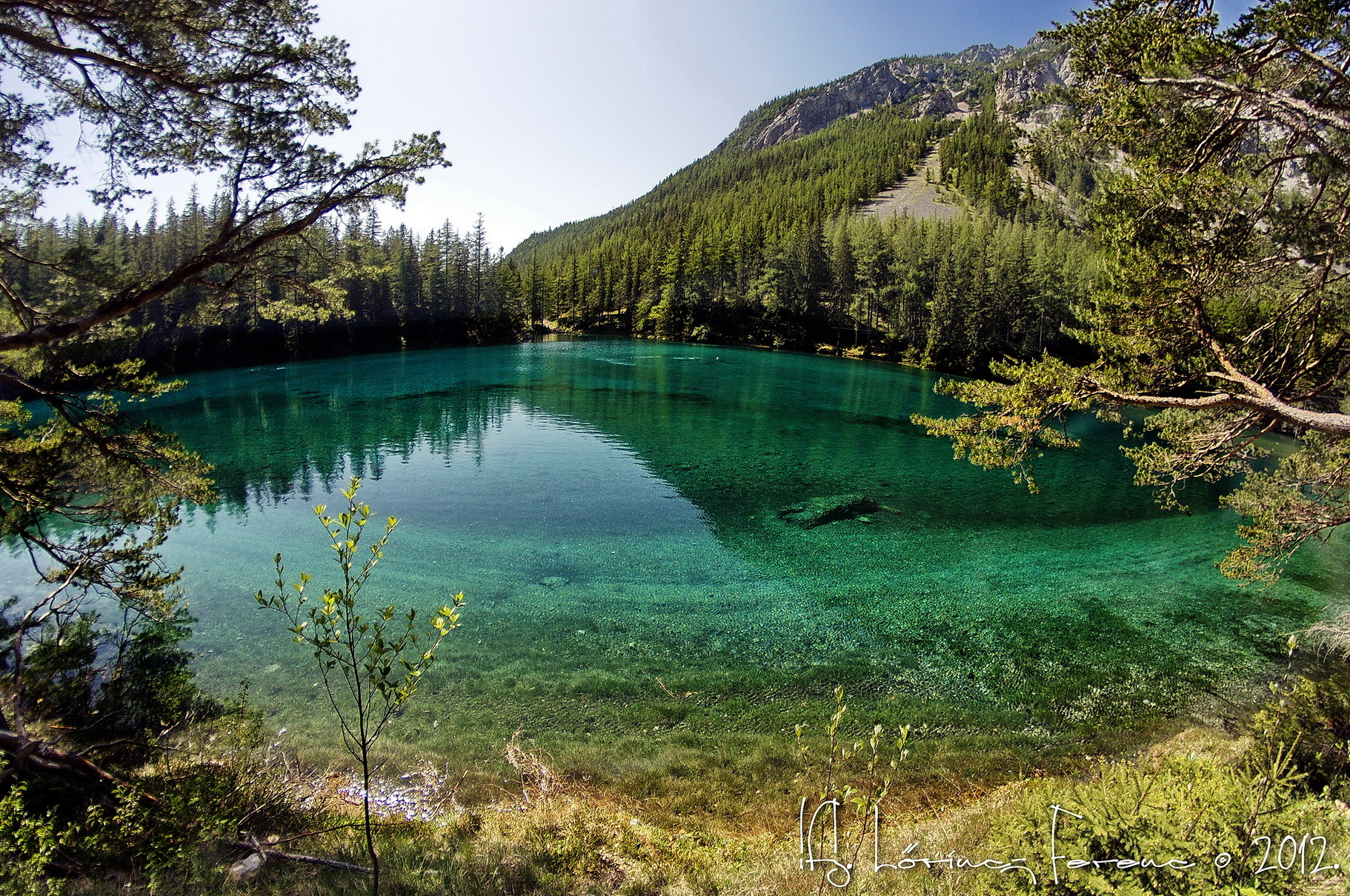 Зеленая вода в озере. Озеро Грюнер Австрия. Зеленое озеро Грюнер Зее. Парк Грюнер Зее Австрия. Зеленое озеро в Австрии.