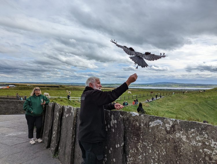 Скалы Мохер (Cliffs of Moher)
