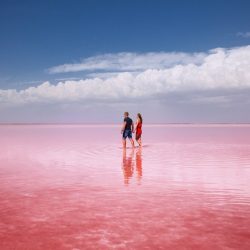 Altai Republic. Bursol – raspberry lake, a miracle of nature